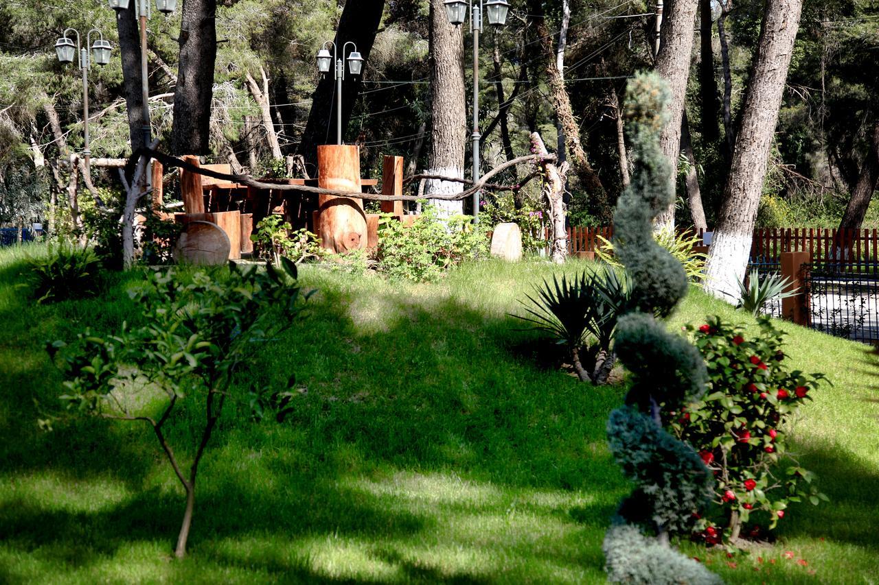 Resort Divjaka Resort Divjake