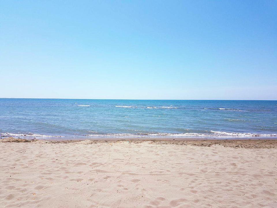 Divjaka Resort Resort