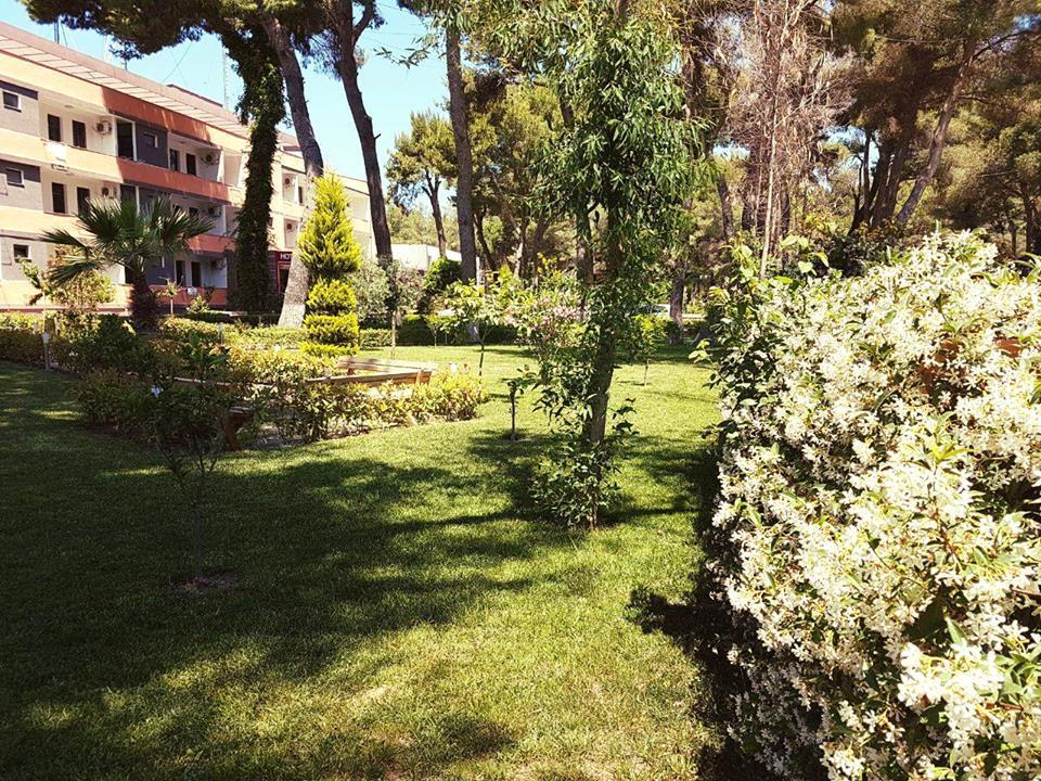 Resort Divjaka Resort 3*